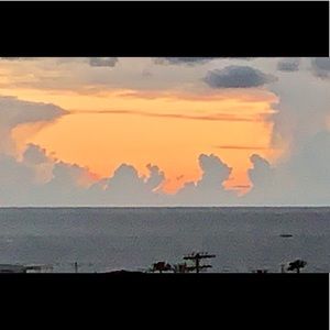 Meet your Posher, Anne